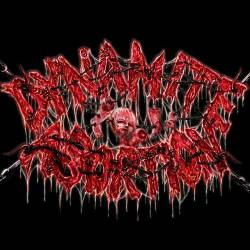 Dynamite Abortion : Promo 2013